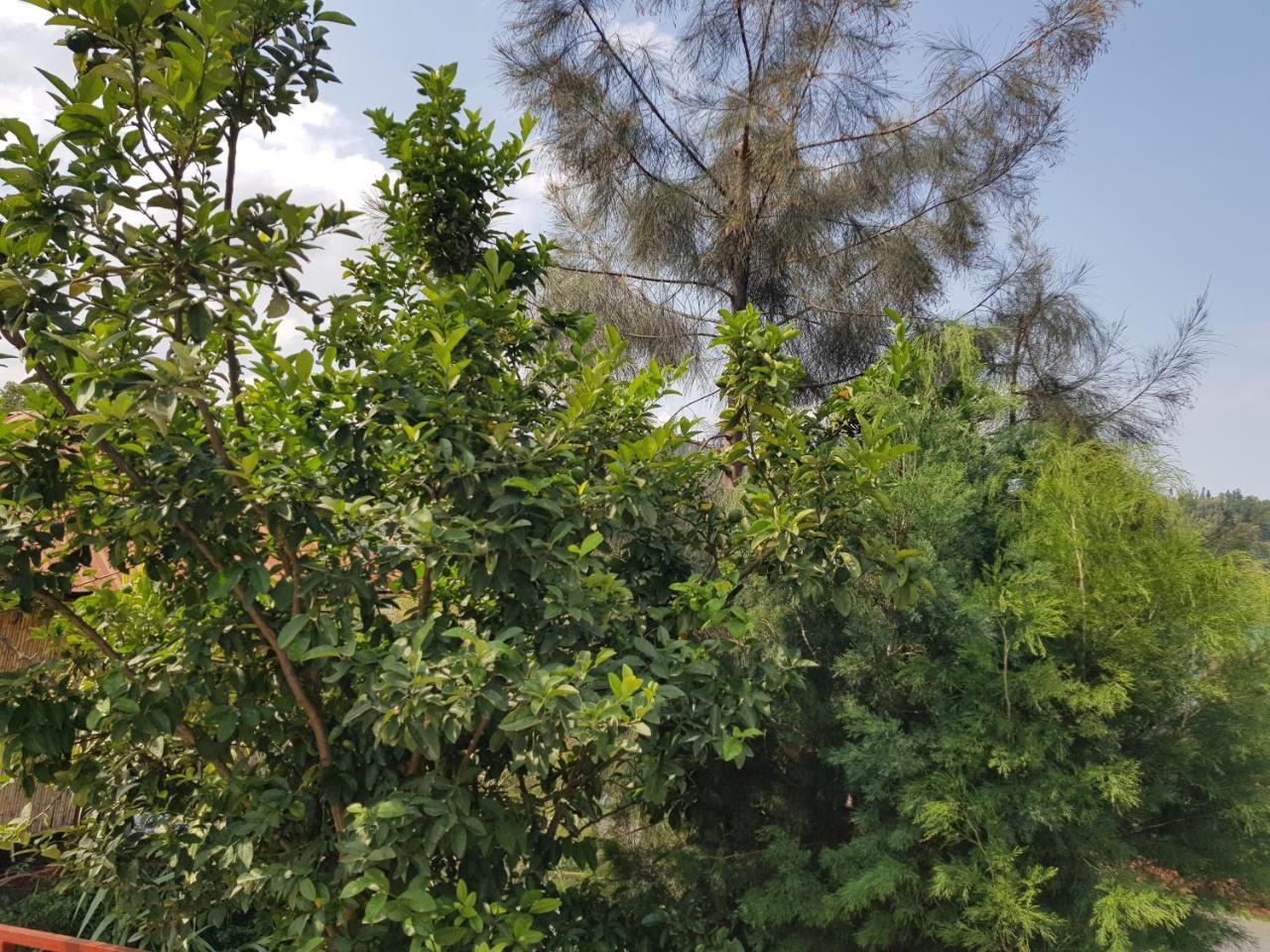 Rebero Kivu Resort Kibuye Εξωτερικό φωτογραφία